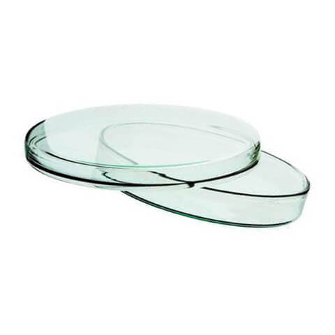 Glass-Petri-Dish-120-mm-for-Lab-Use