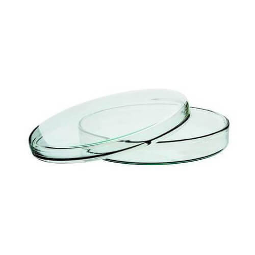 Glass-Petri-Dish-60-mm-for-Lab-Use